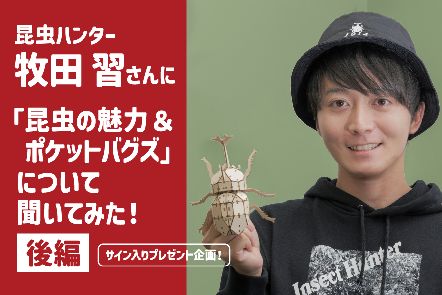 ぱんだ虫さん専用 昆虫ハンター牧田習さんに「昆虫の魅力＆ポケットバグズ」について聞い