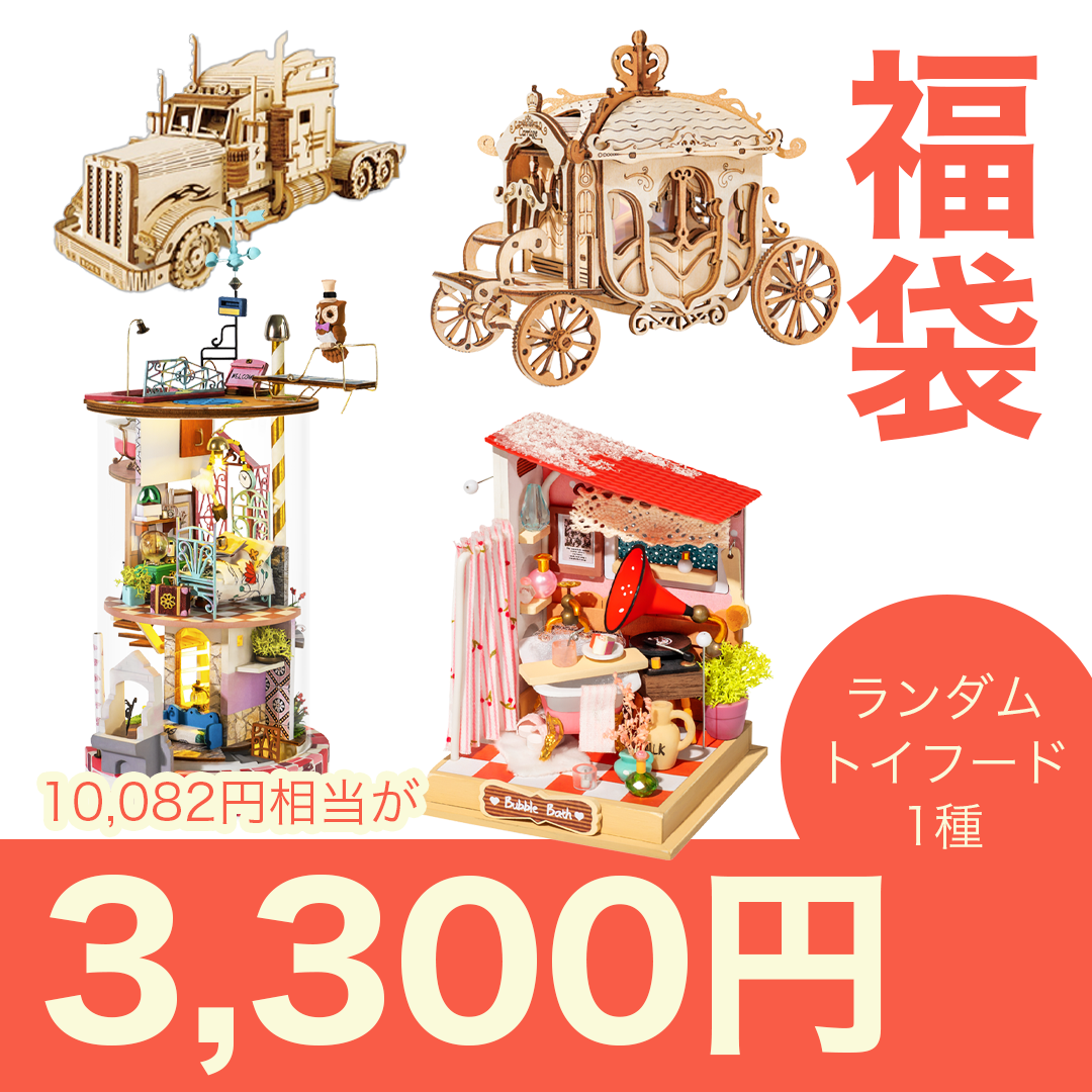 【累計出荷数300万個突破記念】3300円福袋