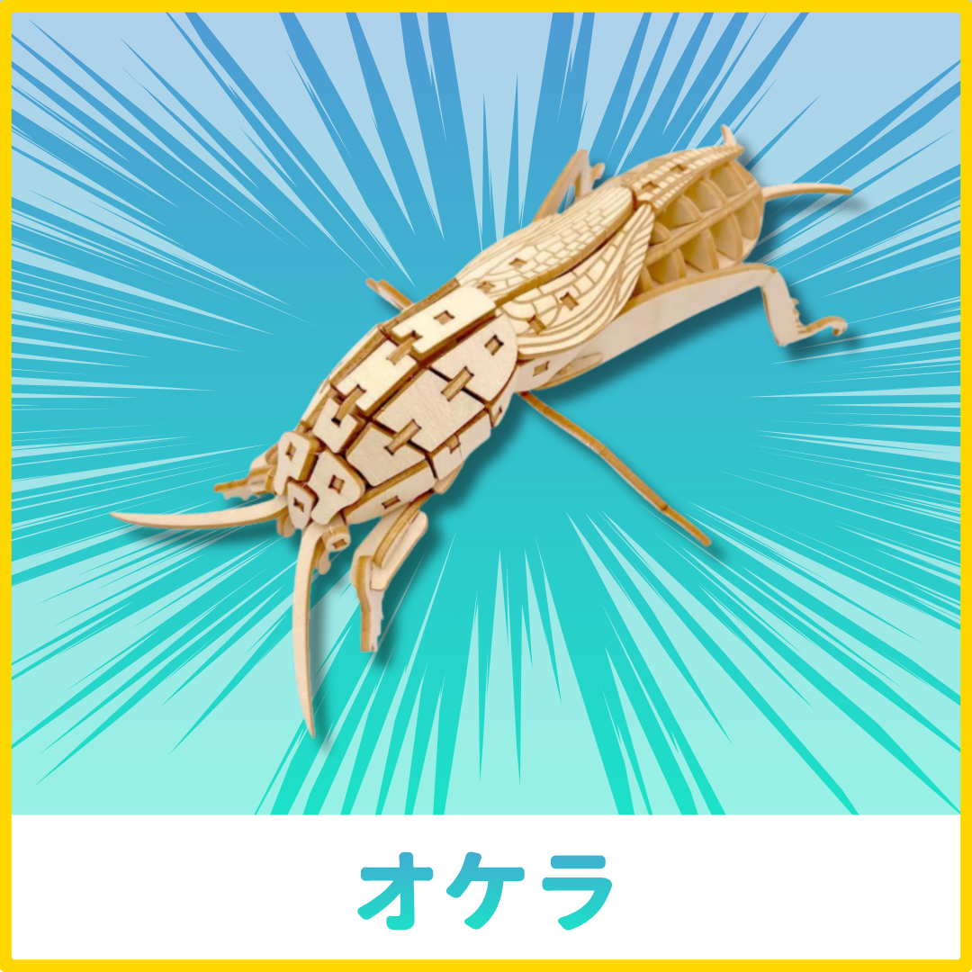 【GW2026】ポケットバグズ12点セット
