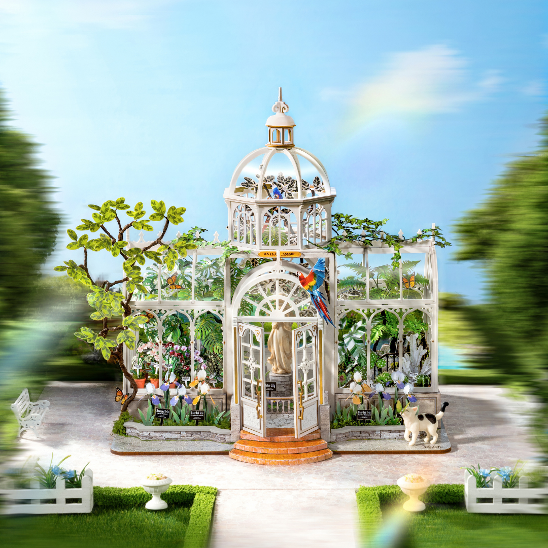 10月上旬発売予定【英語版】DH102Oxygen Oasis