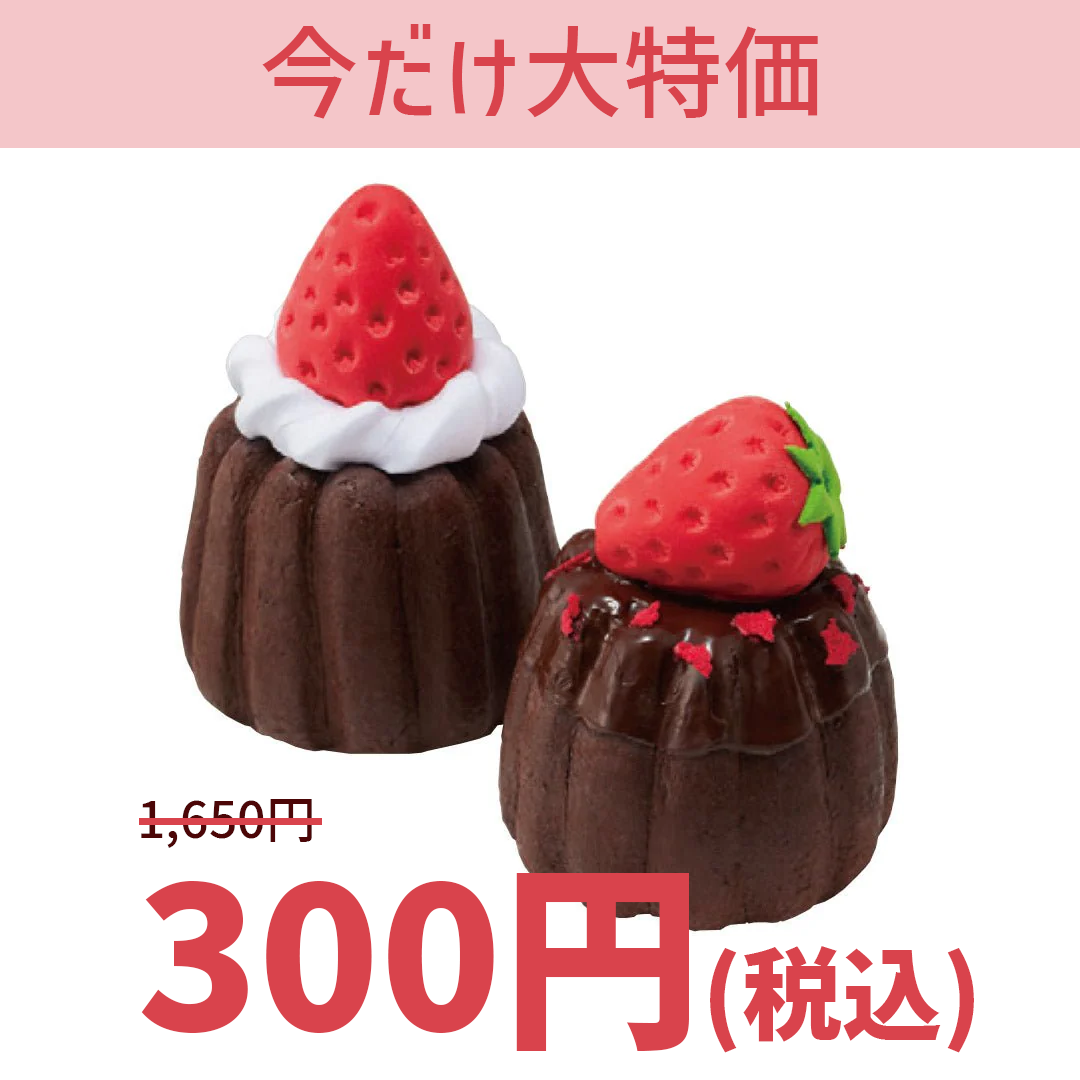 【大特価】TFC04 カヌレ