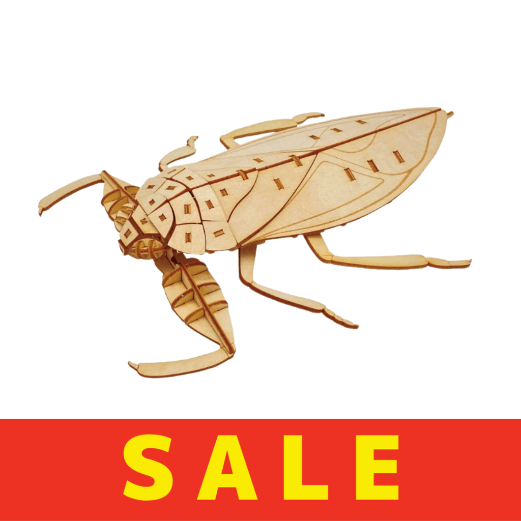 product-3402050.png?v=