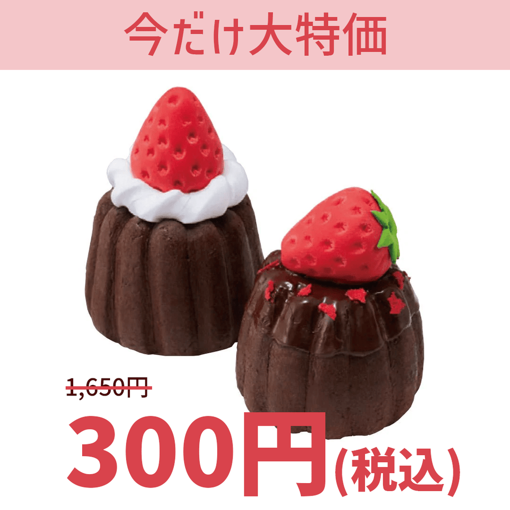 大特価】TFC04 カヌレ