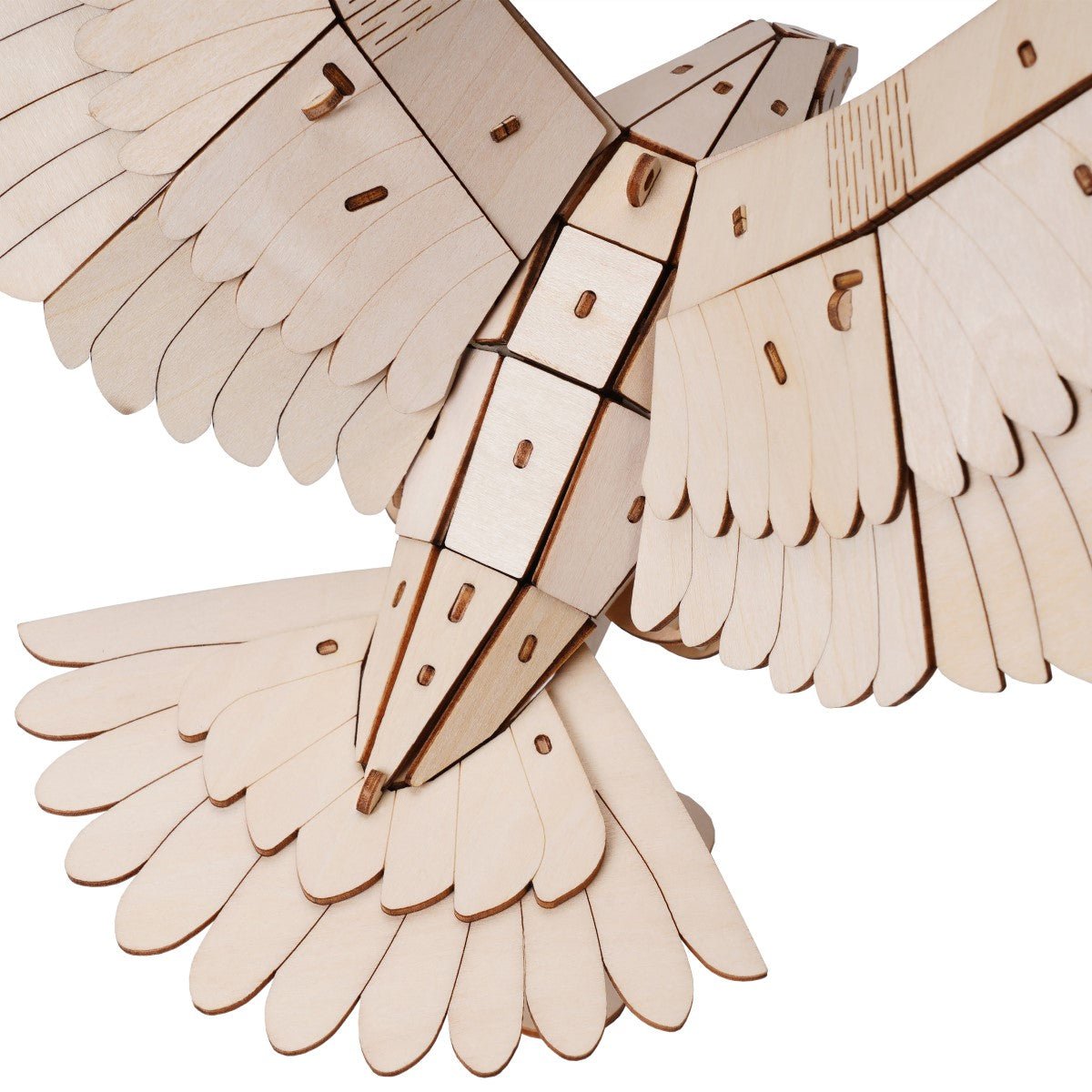 絶滅危惧種シリーズ イヌワシ - つくるんです公式