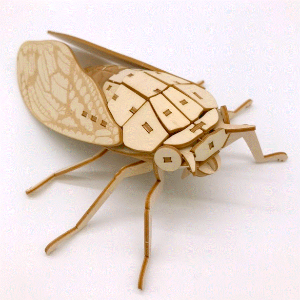 ポケットバグズ アブラゼミ - つくるんです公式