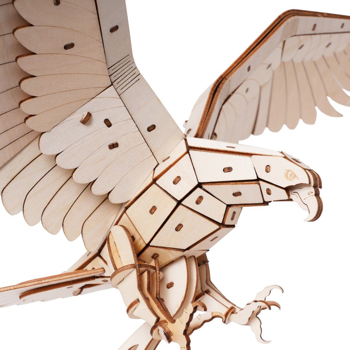 絶滅危惧種シリーズ イヌワシ - つくるんです公式