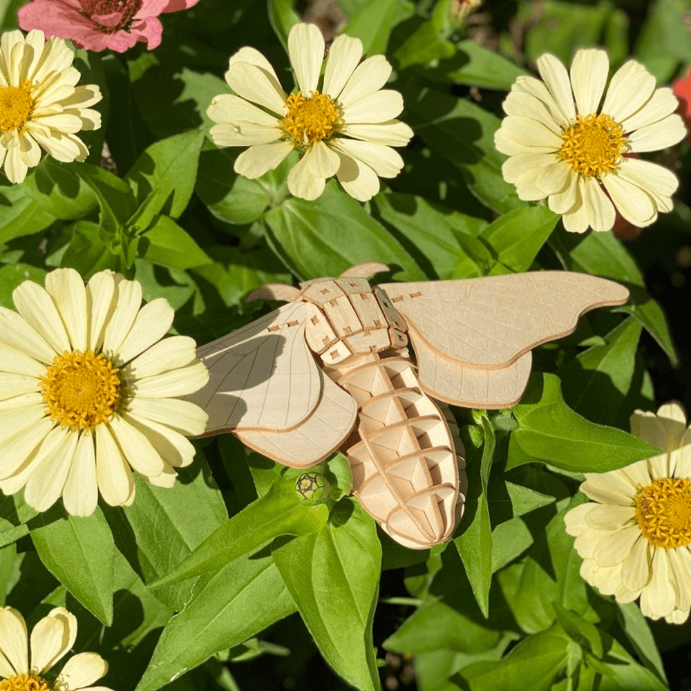 ポケットバグズ カイコガ - つくるんです公式