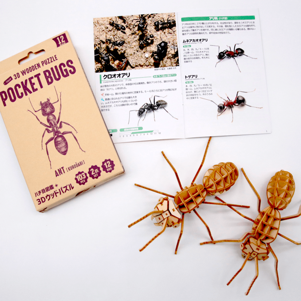 ポケットバグズ クロオオアリ - つくるんです公式