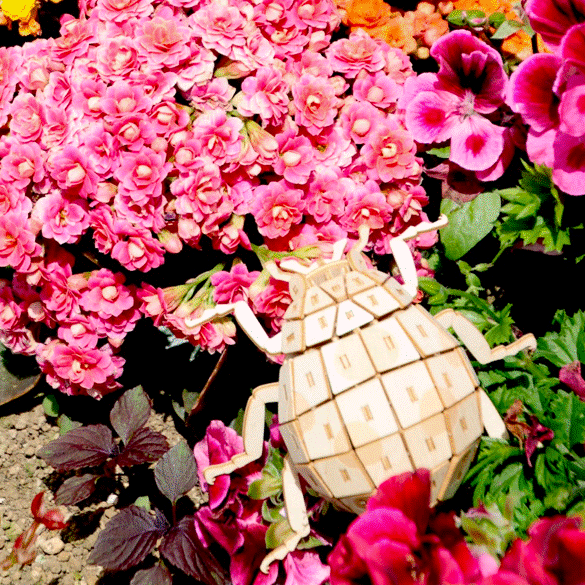 ポケットバグズ ナナホシテントウ - つくるんです公式