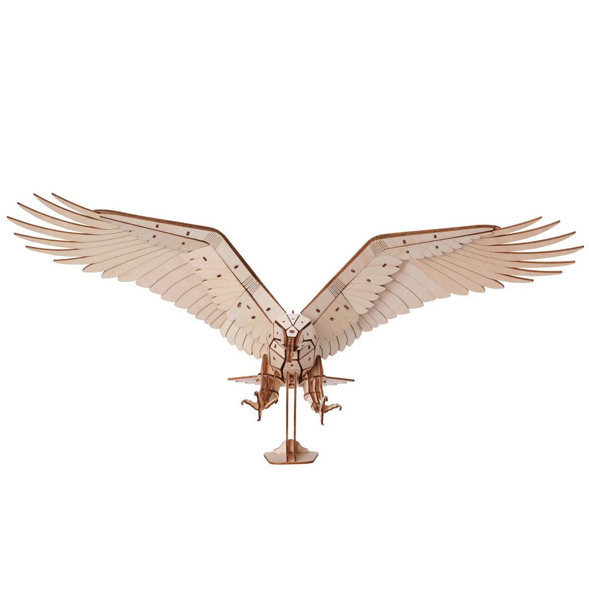 絶滅危惧種シリーズ イヌワシ - つくるんです公式