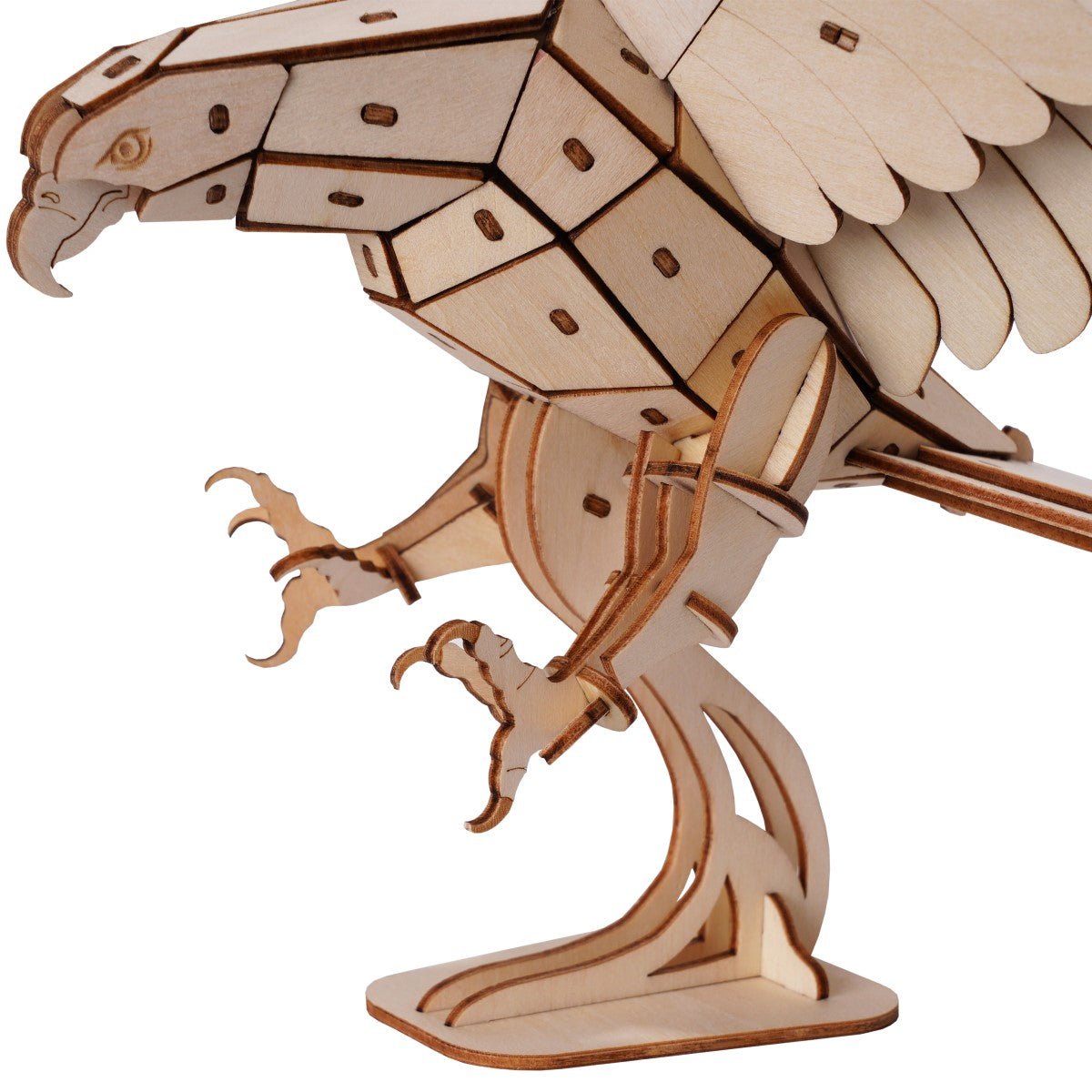 絶滅危惧種シリーズ イヌワシ - つくるんです公式