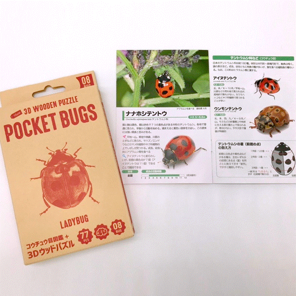 ポケットバグズ ナナホシテントウ - つくるんです公式