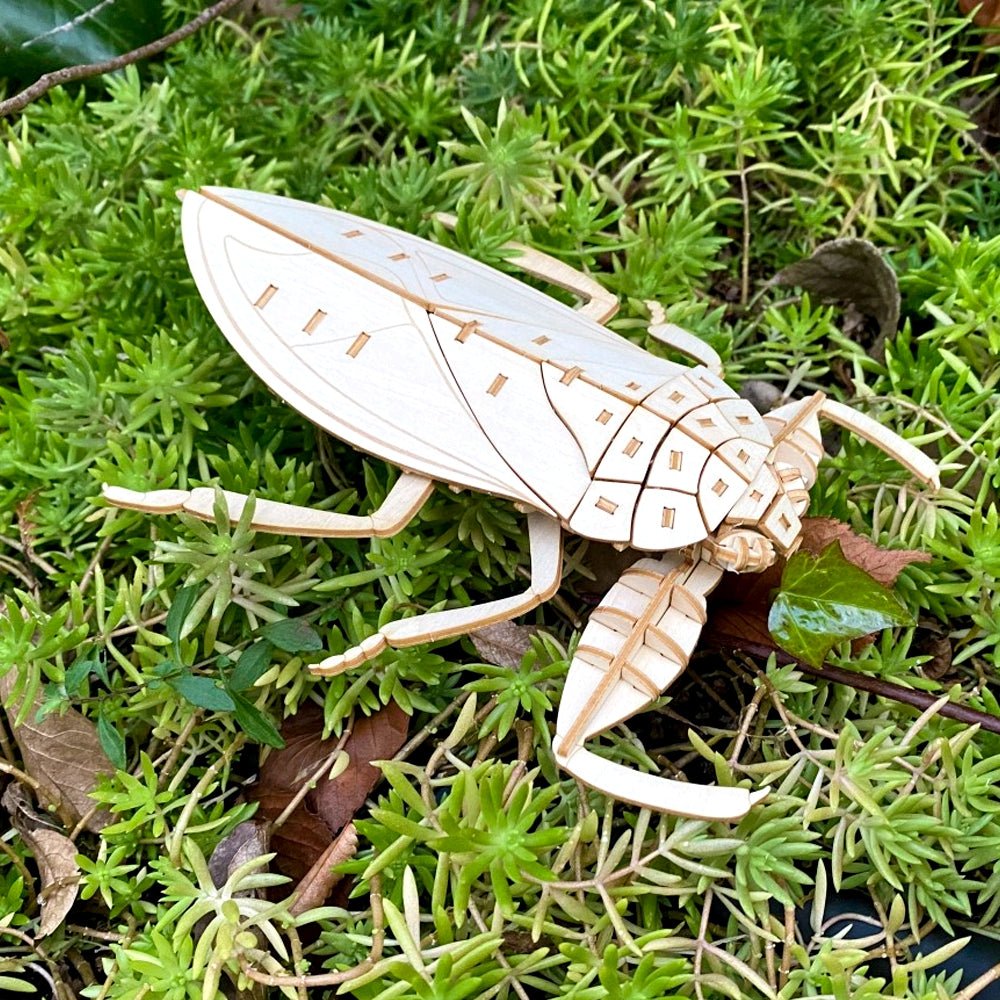 ポケットバグズ タガメ - つくるんです公式