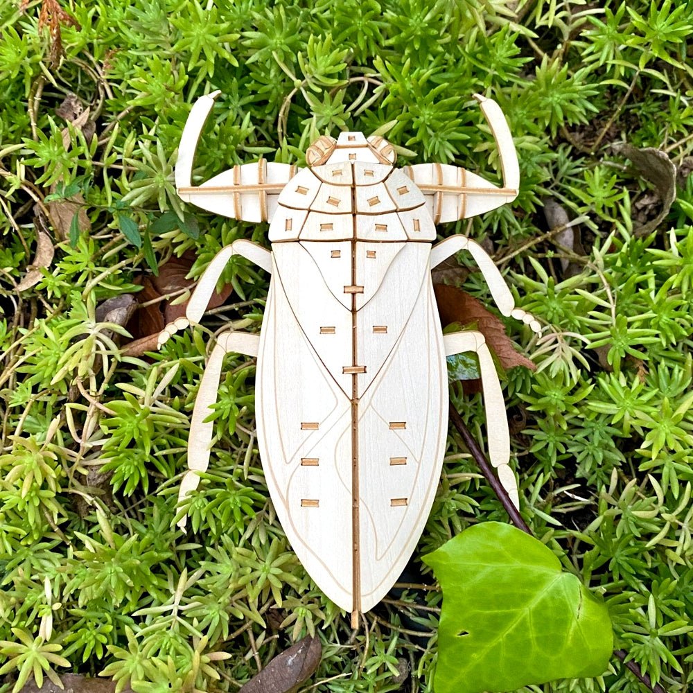 ポケットバグズ タガメ - つくるんです公式