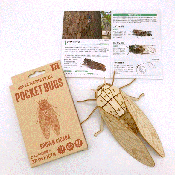 ポケットバグズ アブラゼミ - つくるんです公式