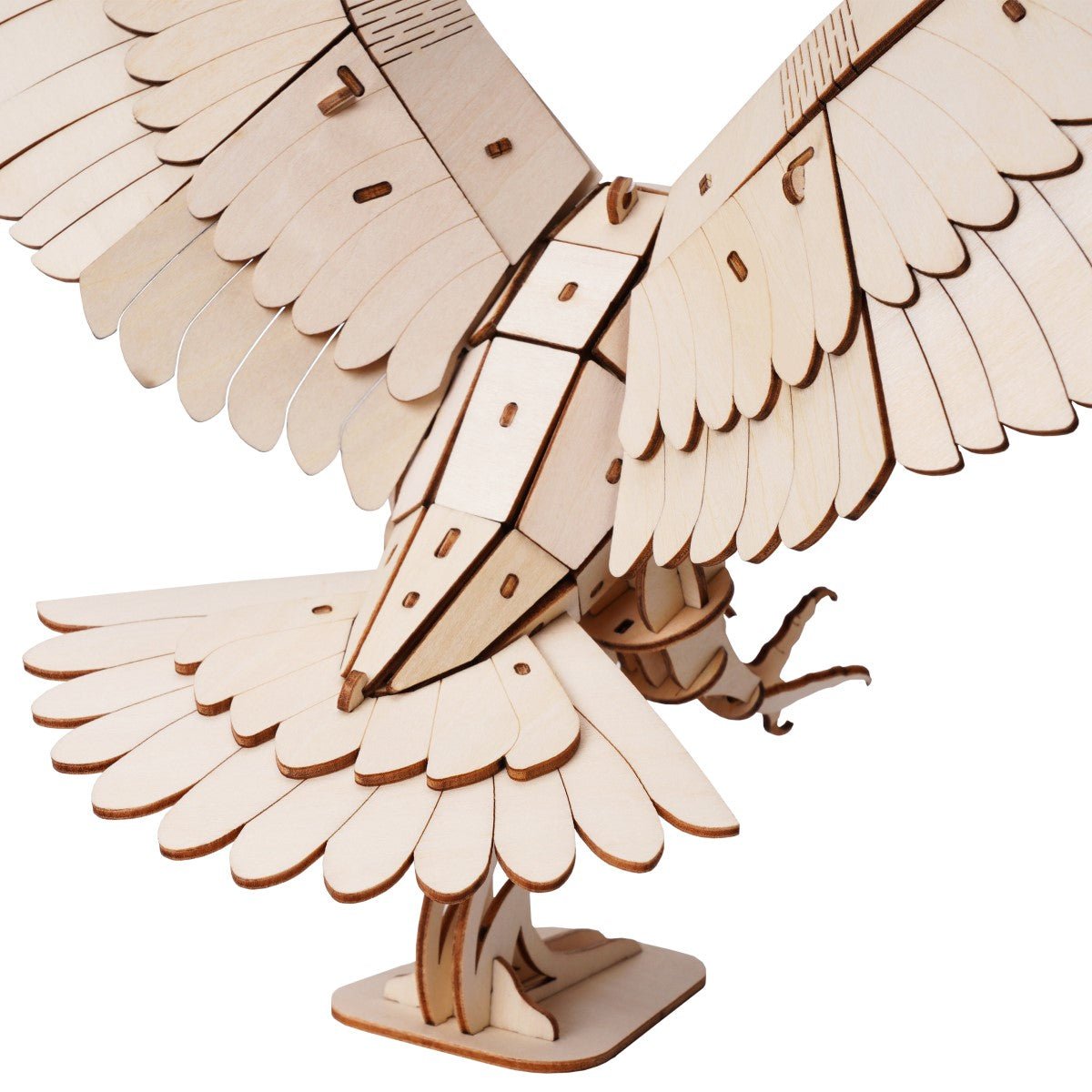 絶滅危惧種シリーズ イヌワシ - つくるんです公式