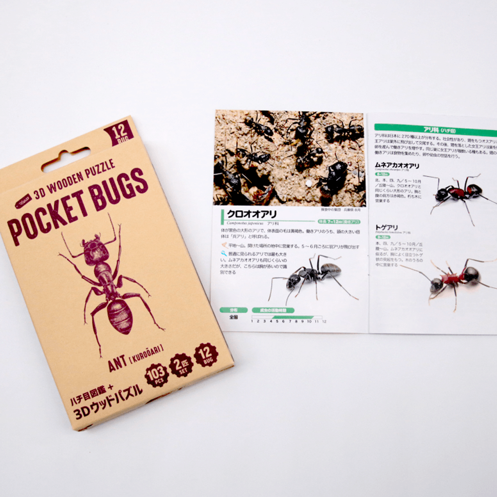 ポケットバグズ クロオオアリ - つくるんです公式