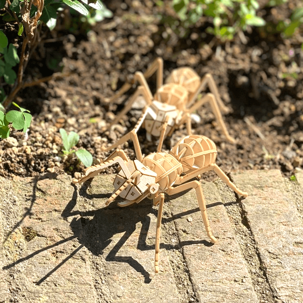 ポケットバグズ クロオオアリ - つくるんです公式