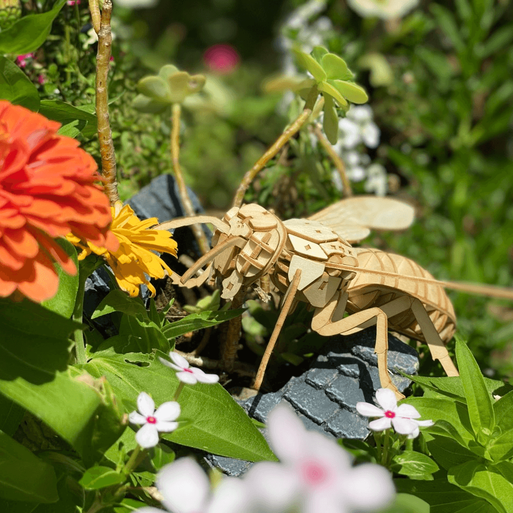 ポケットバグズ オオスズメバチ - つくるんです公式