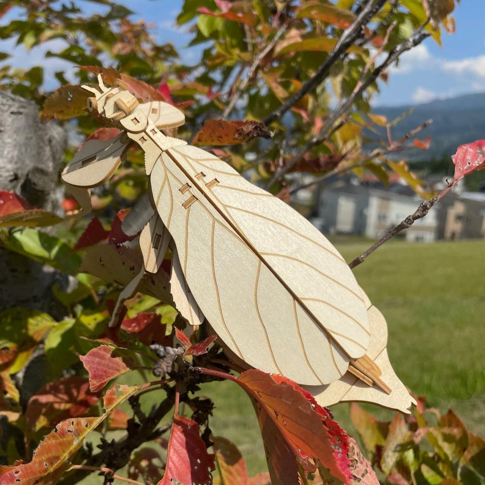 ポケットバグズ コノハムシ - つくるんです公式