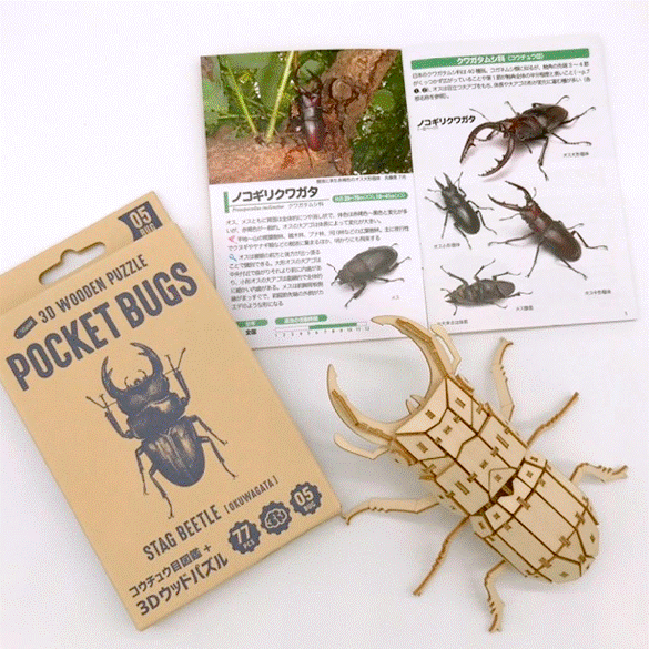 ポケットバグズ オオクワガタ - つくるんです公式