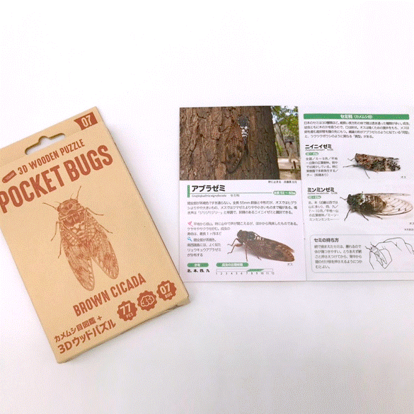 ポケットバグズ アブラゼミ - つくるんです公式