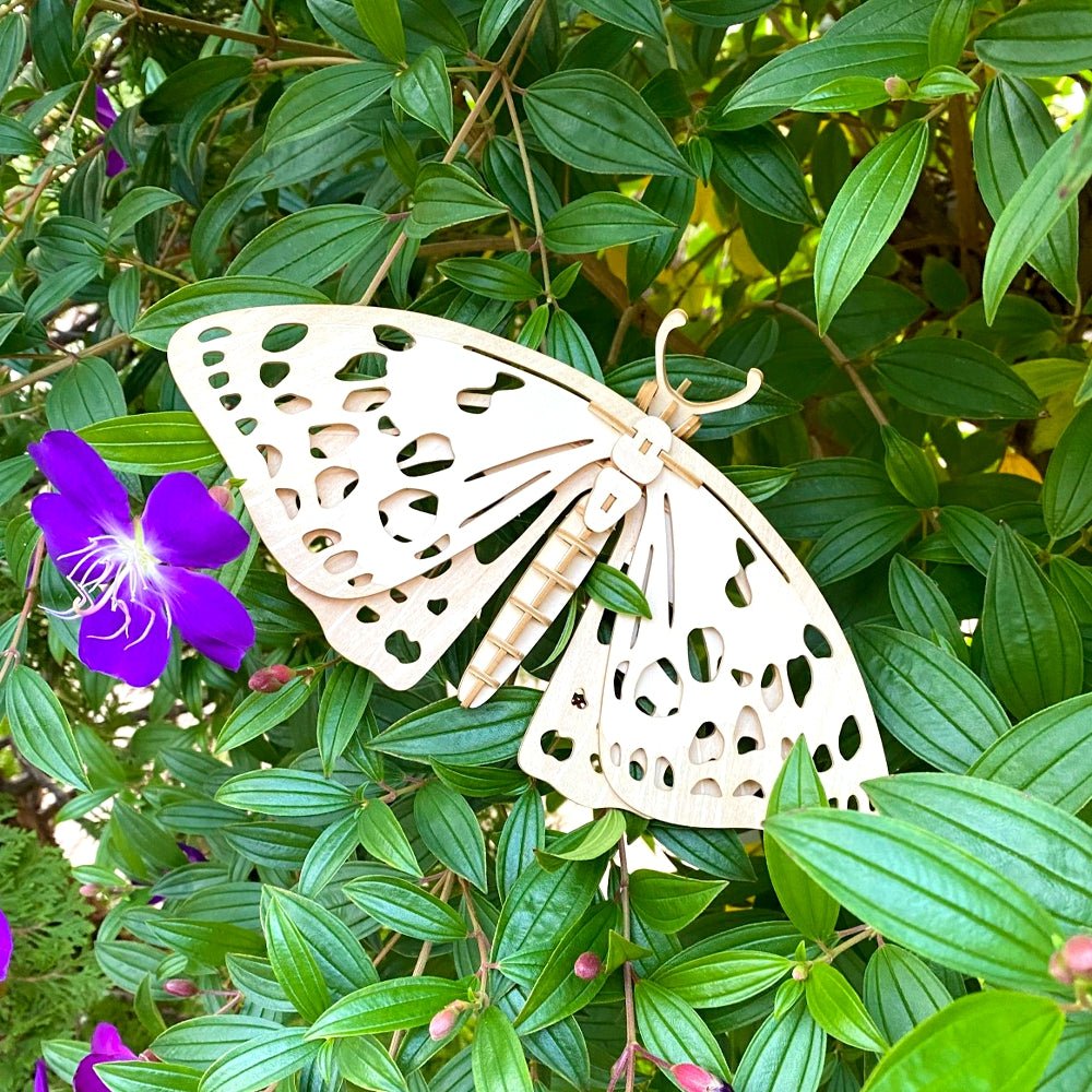 ポケットバグズ オオムラサキ - つくるんです公式