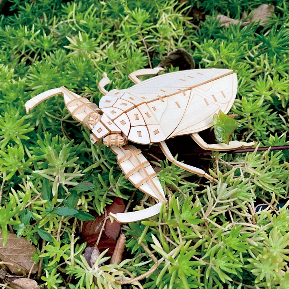 ポケットバグズ タガメ - つくるんです公式