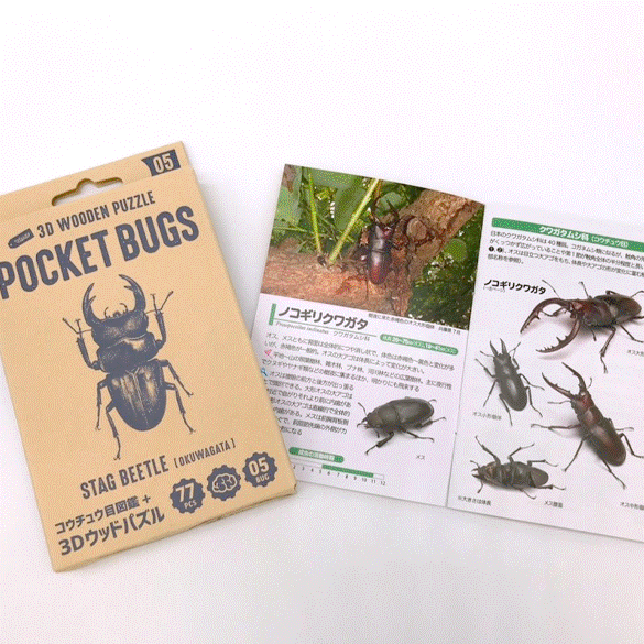 ポケットバグズ オオクワガタ - つくるんです公式