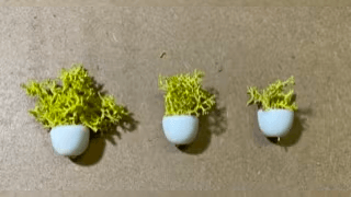植物に使う海綿の量