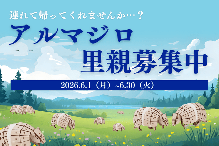 【急募】アルマジロ里親募集中！！