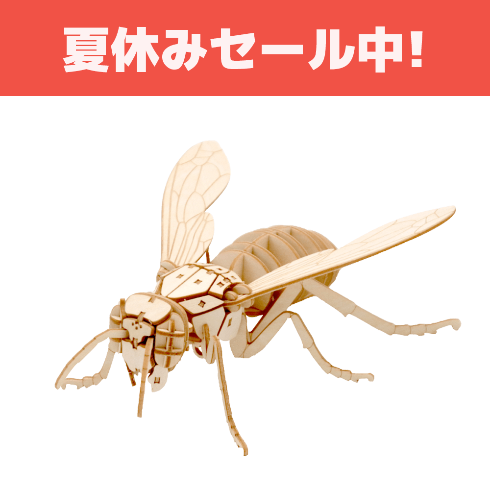 オオスズメバチ　立体標本 2301 オオスズメバチ 立体標本2343 - メルカリ