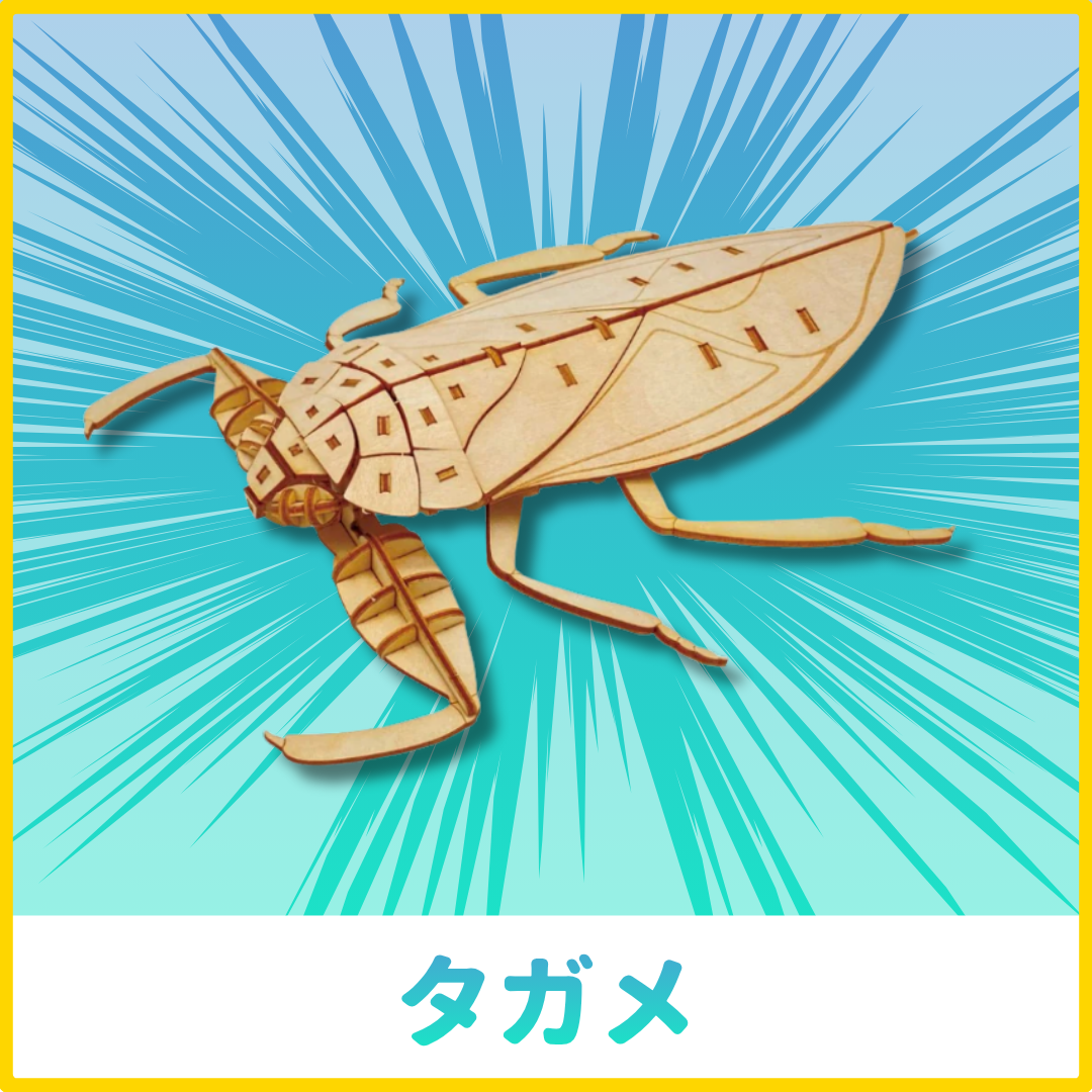 【GW2026】ポケットバグズ12点セット