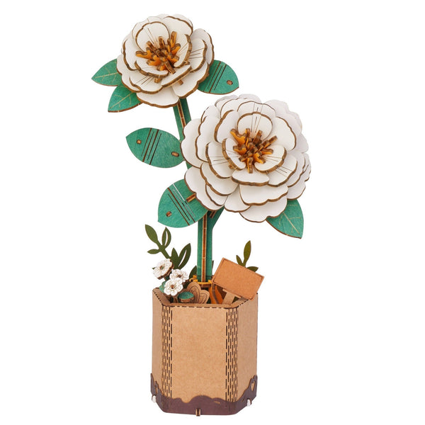 product-262531_grande.jpg?v=