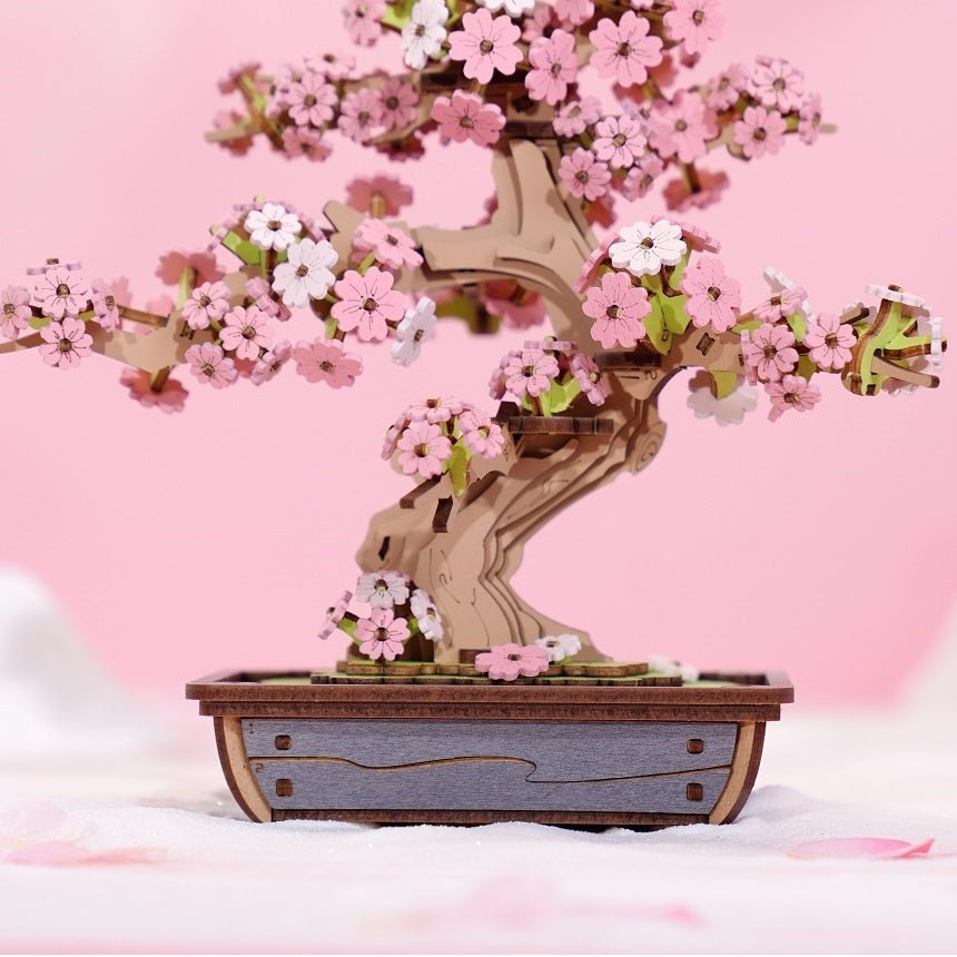 桜の盆栽 旭山桜 あさひやまさくら 盆栽 くらま鉢 桜 さくら