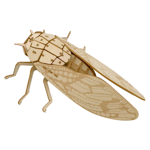 ポケットバグズ06アブラゼミ