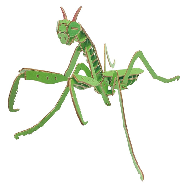 product-371337_grande.jpg?v=