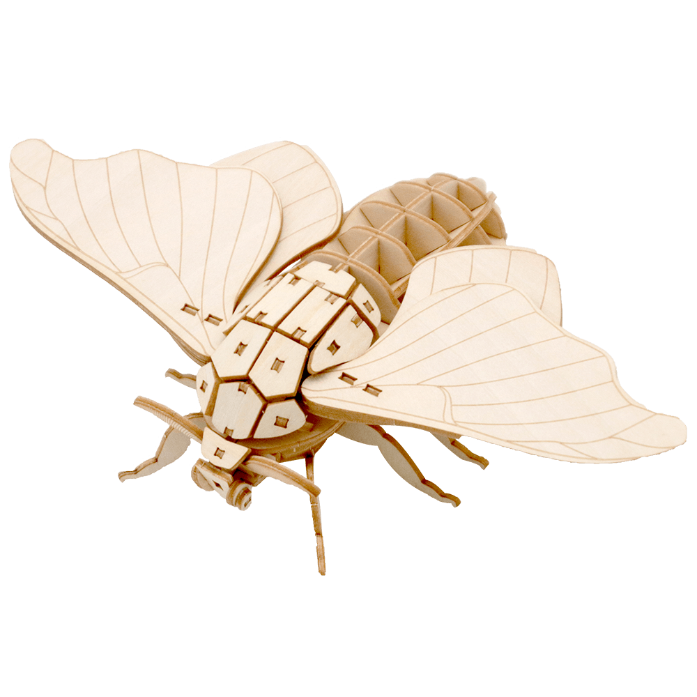 ポケットバグズ11カイコガ