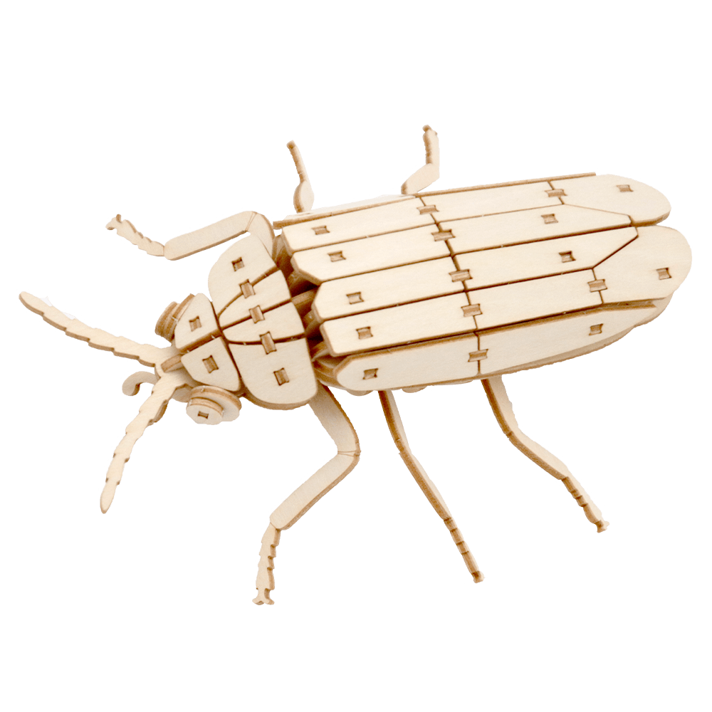 ポケットバグズ10ゲンジボタル