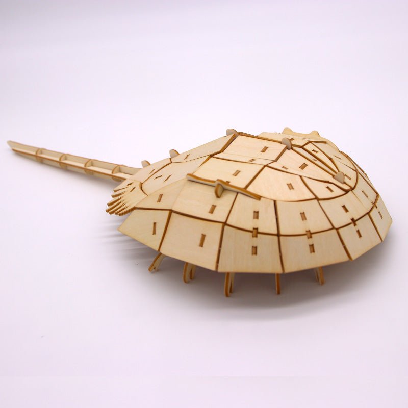 絶滅危惧種シリーズ カブトガニ - つくるんです公式