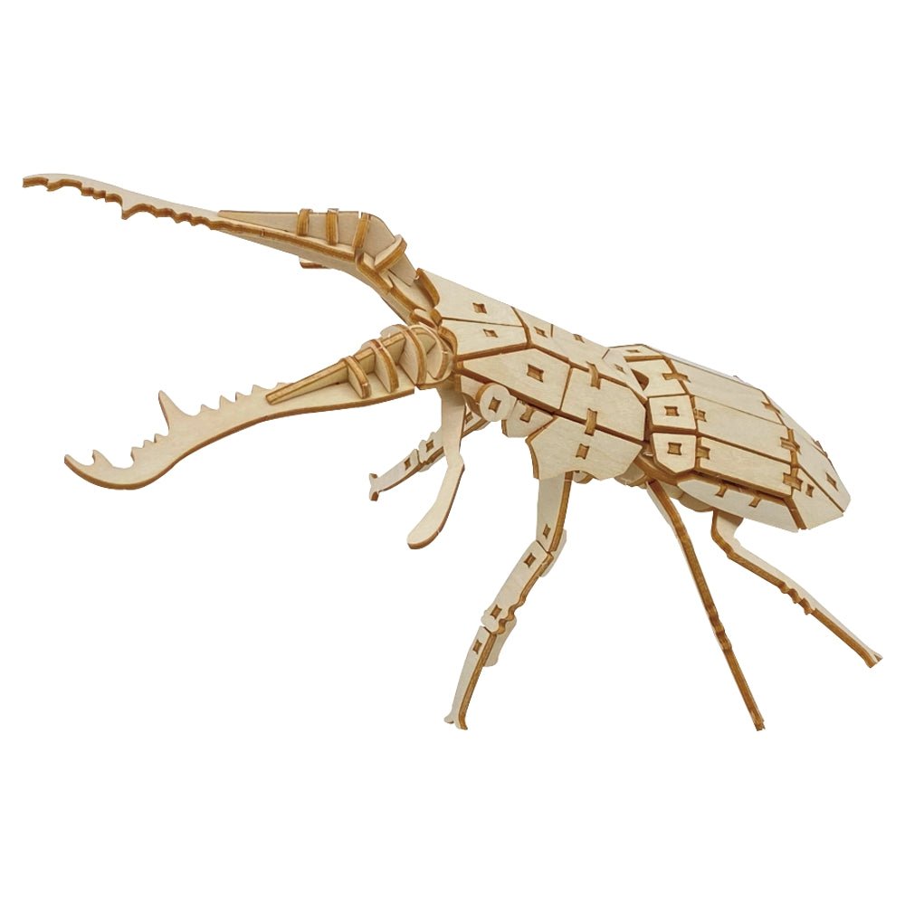 ブータンのキラ　アンティーク　大型　希少品 ブータンのキラアンティーク大型希少品